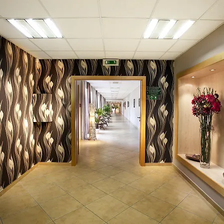 Akademie 4* Хоцеради