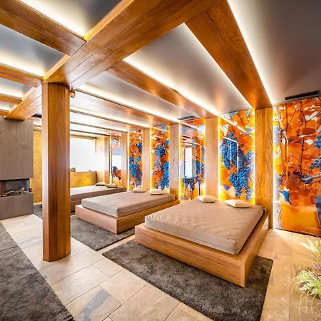 ホテル Akademie 4*