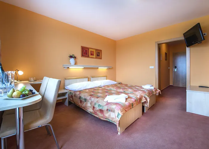 Akademie Hotel 4*